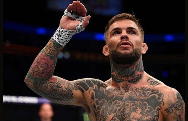 codynolovegarbrandt